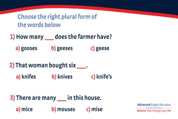 General English; Irregular Plurals